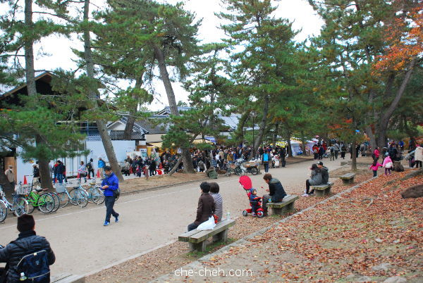 Nara Park @ Nara